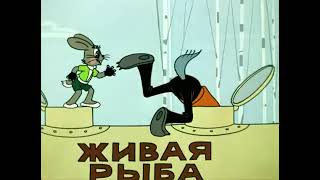 Ну, Ногоди Выпсук-3
