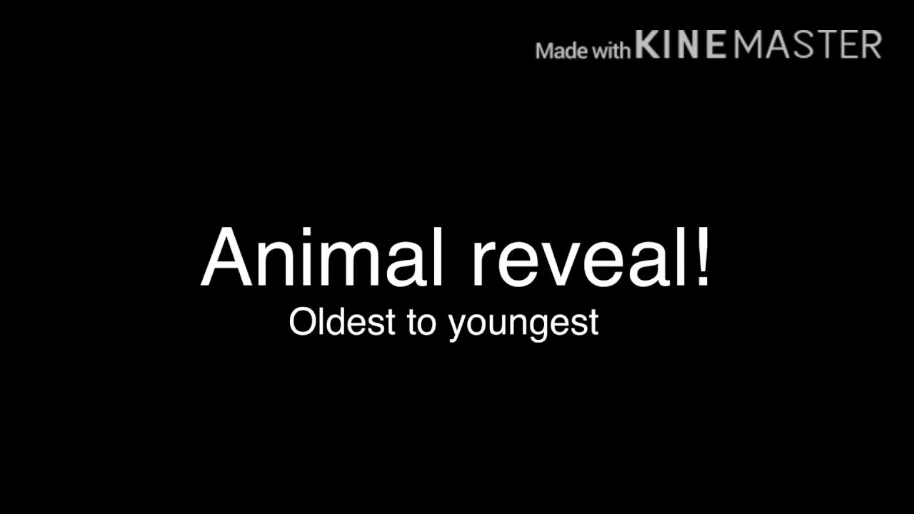 Animal Reveal! Read description - YouTube