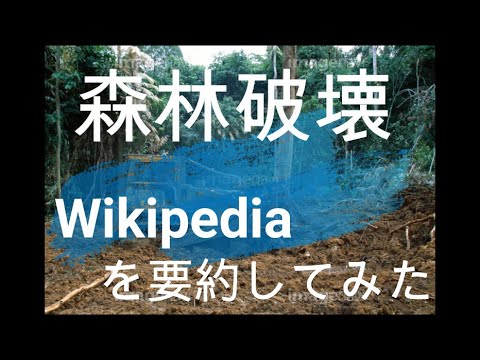 【森林破壊】Wikipedia要約