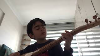 Değirmen Üstü Çiçek - Toprak Erva Karahan