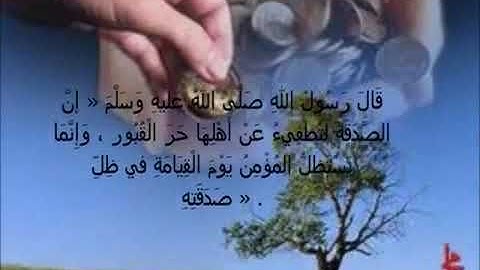 آيات الإنفاق بصوت الشيخ عادل يوسف