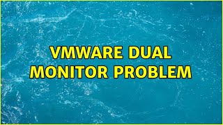 Vmware dual monitor problem