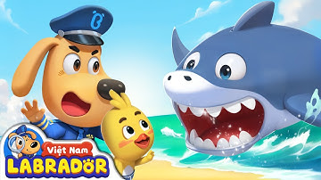 Cá mập dưới biển cả | An toàn khi gặp cá mập | Hoạt hình thiếu nhi | Cảnh sát trưởng Labrador
