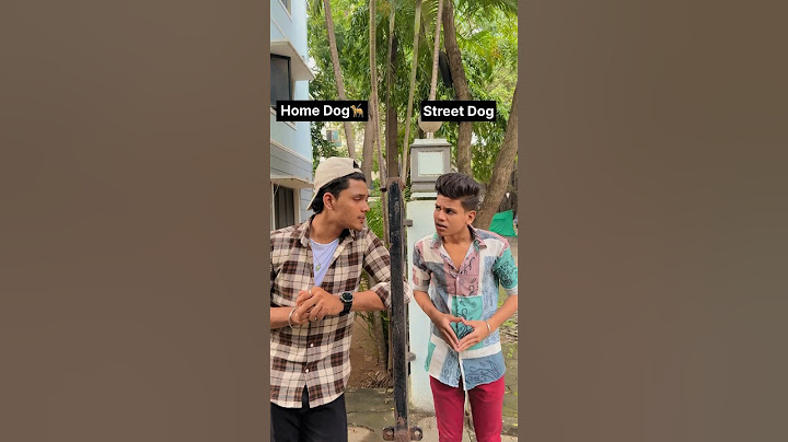 Home Dog vs Street Dog😂❤️🔥 #ismail0102 #tamilcomedy #funnyvideos #shorts