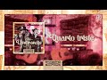 Rionegro & Solimões - Quarto triste | DVD Só Lembranças