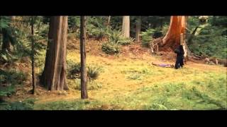 Wicker Man Bear jokes