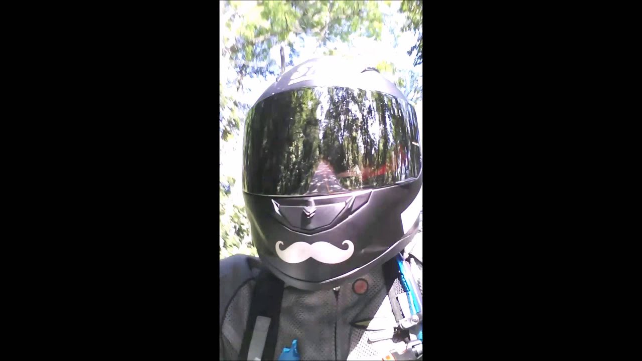 Motorcycle Ride on Beautiful Tree-Lined Road (Music Version)
