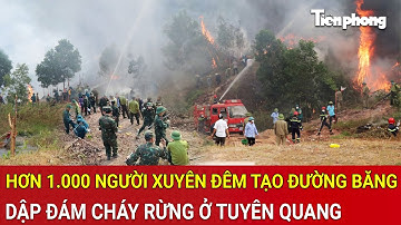 Hơn 1.000 người xuyên đêm nỗ lực tạo đường băng dập đám cháy rừng nghiêm trọng ở Tuyên Quang