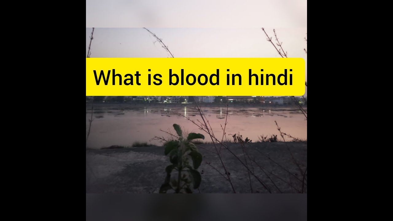 What is human blood and it's components in hindi? What is