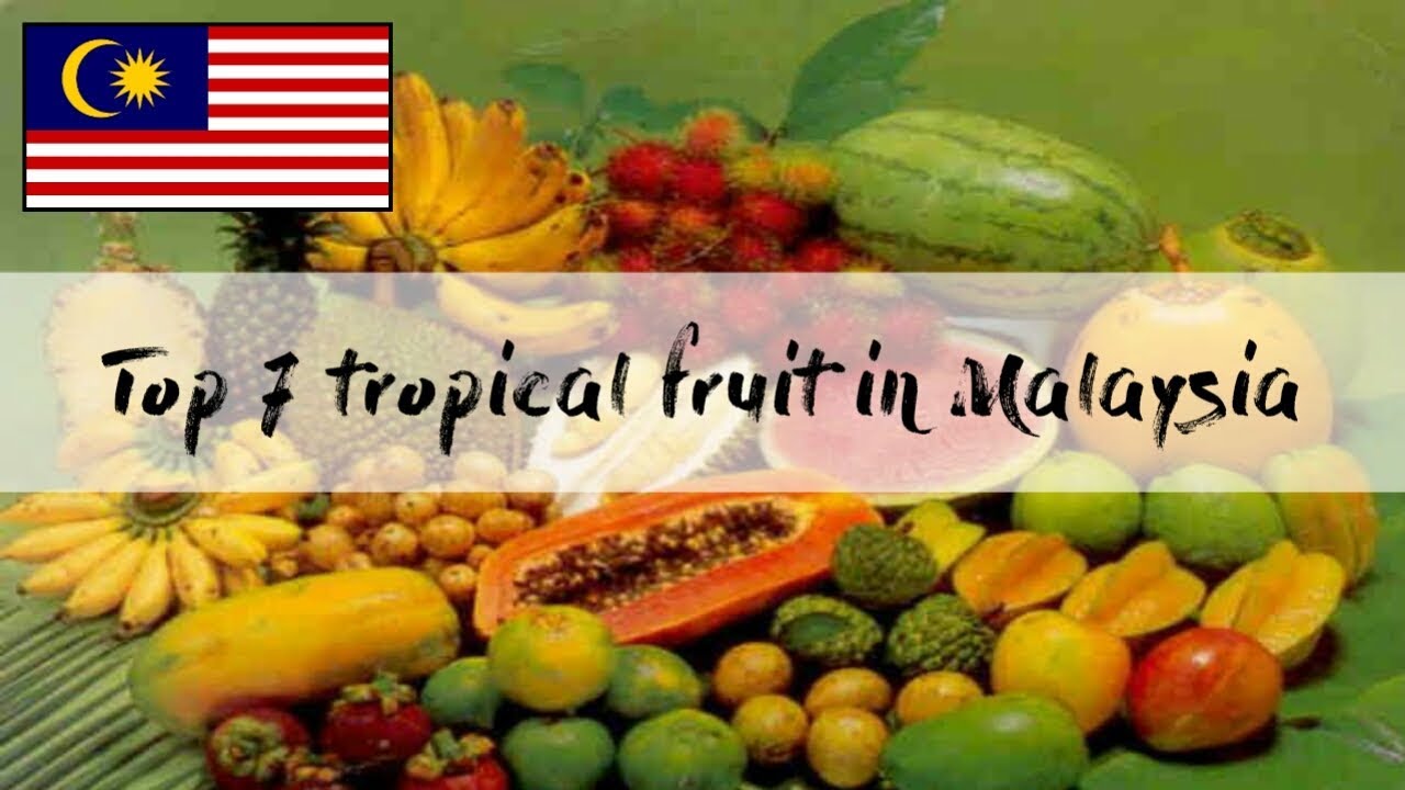 Top 7 Tropical Fruit In Malaysia Youtube