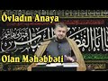 Whatsapp Ucun Ana Haqqinda Status - Seyyid Aga Resid Whatsapp Status Video Download Free