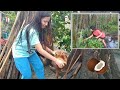 SIMPLENG BUHAY SA PROBINSYA | GINATAANG ALIMANGO NA MAY PAKO (FERN) | Vlog 21