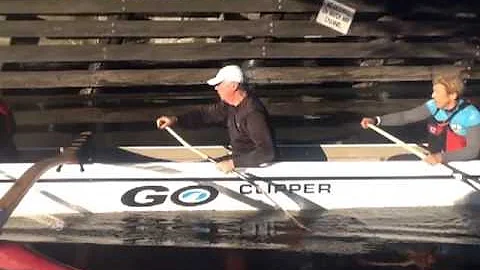 Terry Barb