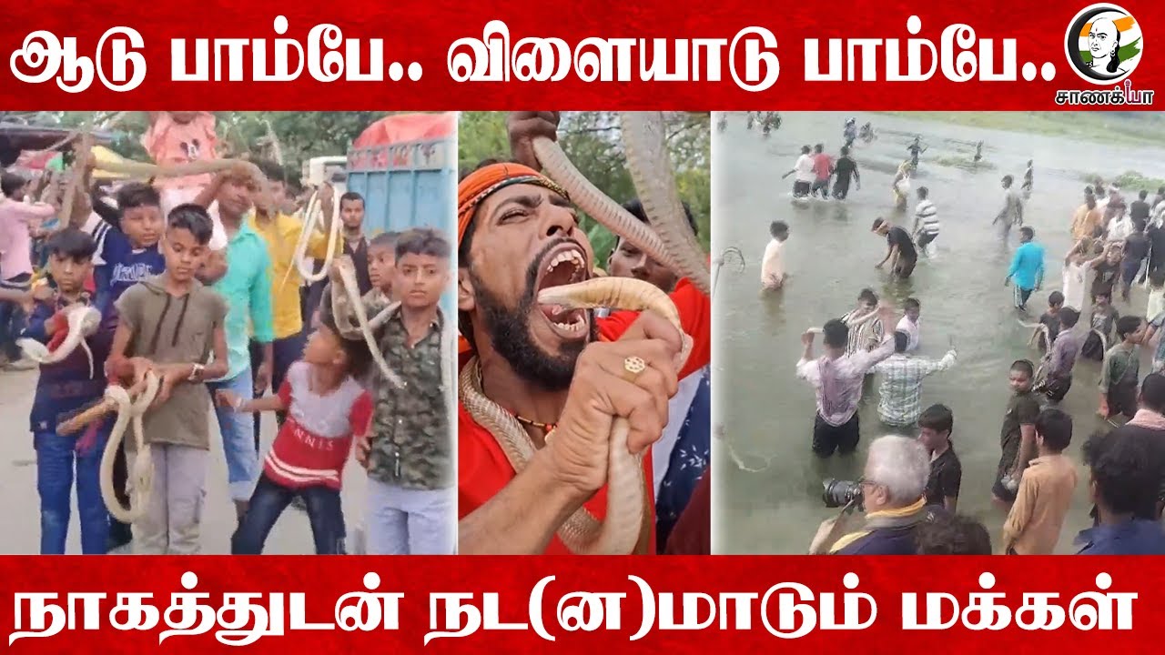 ஆடு பாம்பே.. விளையாடு பாம்பே.. நாகத்துடன் நட(ன)மாடும் மக்கள் | Bihar Naga Panchami 2025
