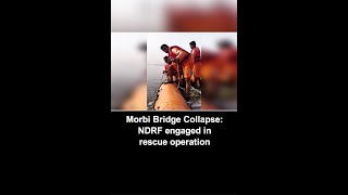 Morbi Bridge Collapse: NDRF engaged in rescue operation