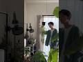 あの頃の自分に、伝えたいこと5選 #観葉植物