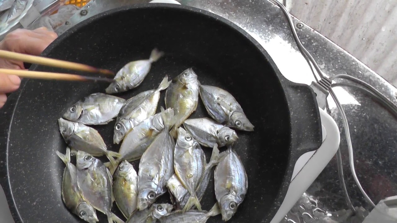今釣れているヒイラギ美味しいですよ 釣人にエサトリ扱いされる魚も食べると美味 和歌山 釣太郎 Youtube
