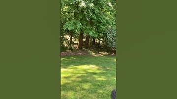 #airsoft #hpa #polarstar #binary #hicapaclub #snappy