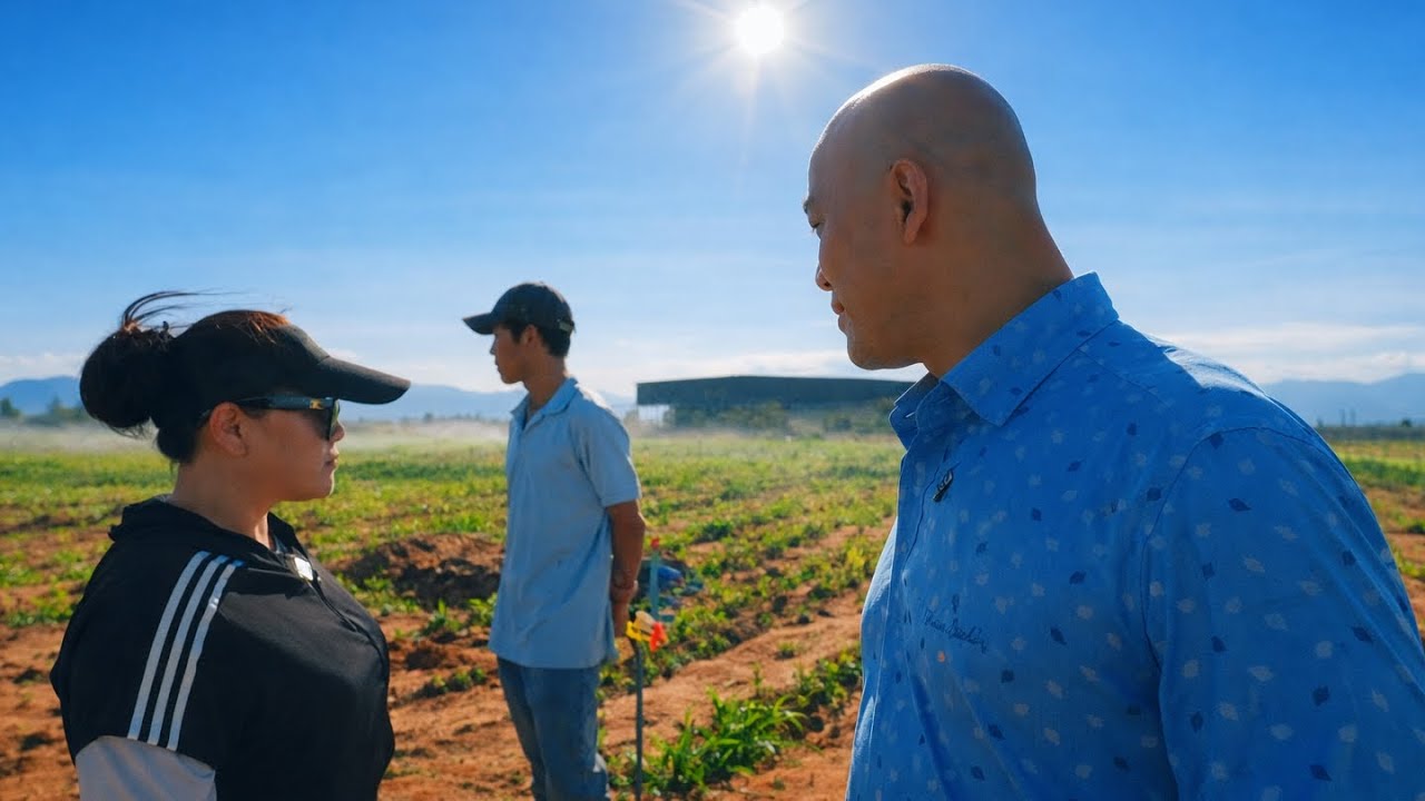 HÔM NAY BA THÉP XUỐNG TRANG TRẠI HƯỚNG DẪN CÁCH ẤP GÀ & BÀ CHỊ HÀN QUỐC VỀ THĂM