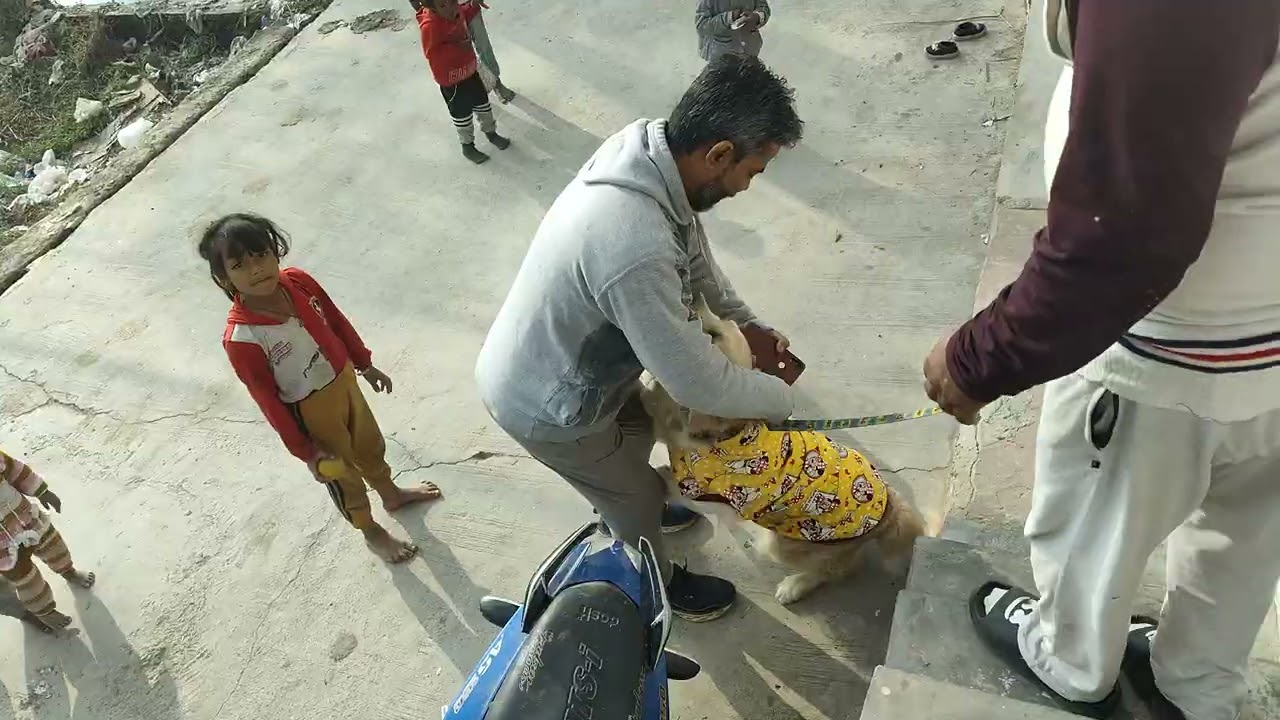 Welcome to my blog 😂🐕🙏🧿 thanks for watching 🙏