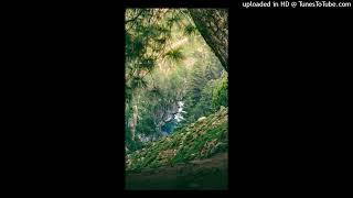AUD-20261003-WA0082