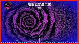 2025華語網絡流行音樂 ||《玫瑰也曾溫柔過》|| 王娜 || 動態歌詞