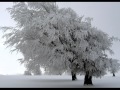 「冬景色」 "A Winter View"