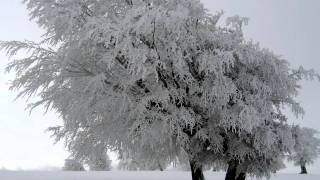 「冬景色」 'A Winter  View'