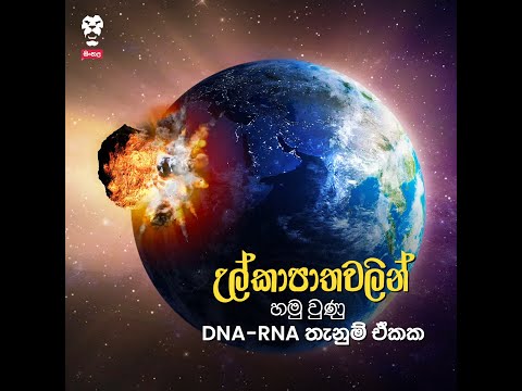 උල්කාපාතවලින් හමු වුණු DNA, RNA තැනුම් ඒකක