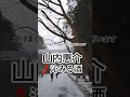 2026年1月1日...山内惠介さん🎵沁みる酒🎵 #哀愁 #昭和 #演歌 #冬の嵐 #北海道神宮 #winter #散歩 #歌謡曲