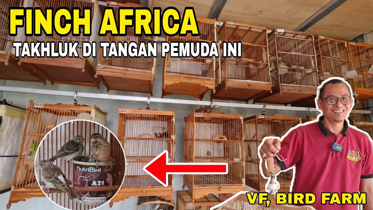 BUSETTT..‼️SARANG NYA CUMAN PAKAI KALENG BEKAS..🤣🤣