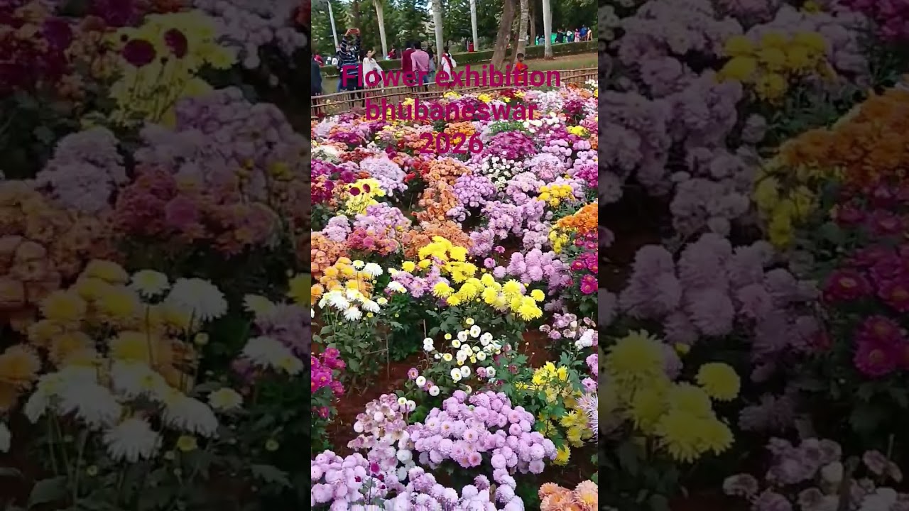 flower exhibition bhubaneswar 2026 