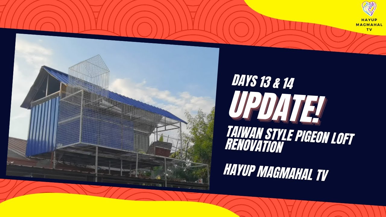 Taiwan Style Pigeon Loft Renovation - Days 13 & 14 Update | Hayup Magmahal TV