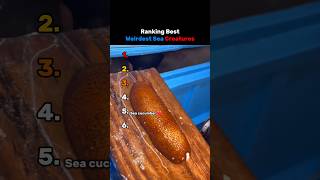 Ranking Best Weirdest Sea Creatures