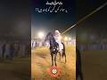 Neza Bazi 2024 Best Horse Rider Sufi Nazir Nezabazi Horserider Youtubeshorts Shortsvideo 