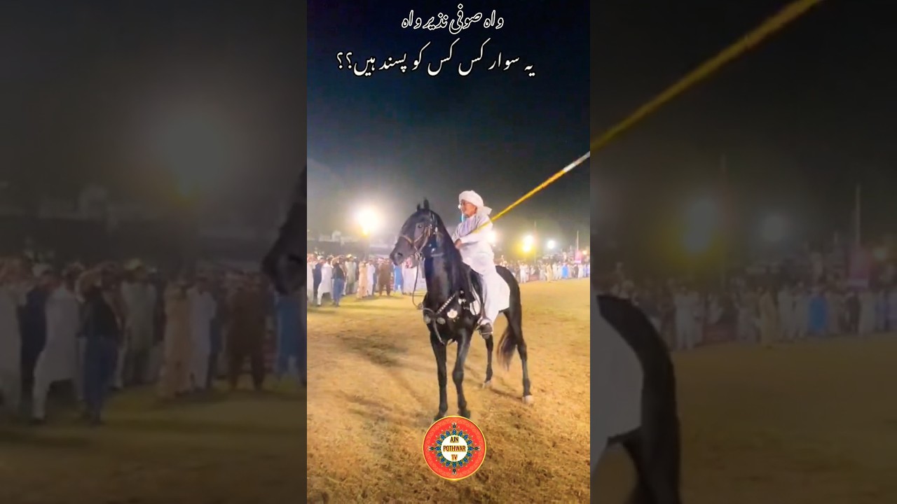 Neza Bazi 2024 | Best Horse Rider Sufi Nazir 