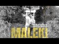 Halwest maleki shusha new track 03 album 700iqd