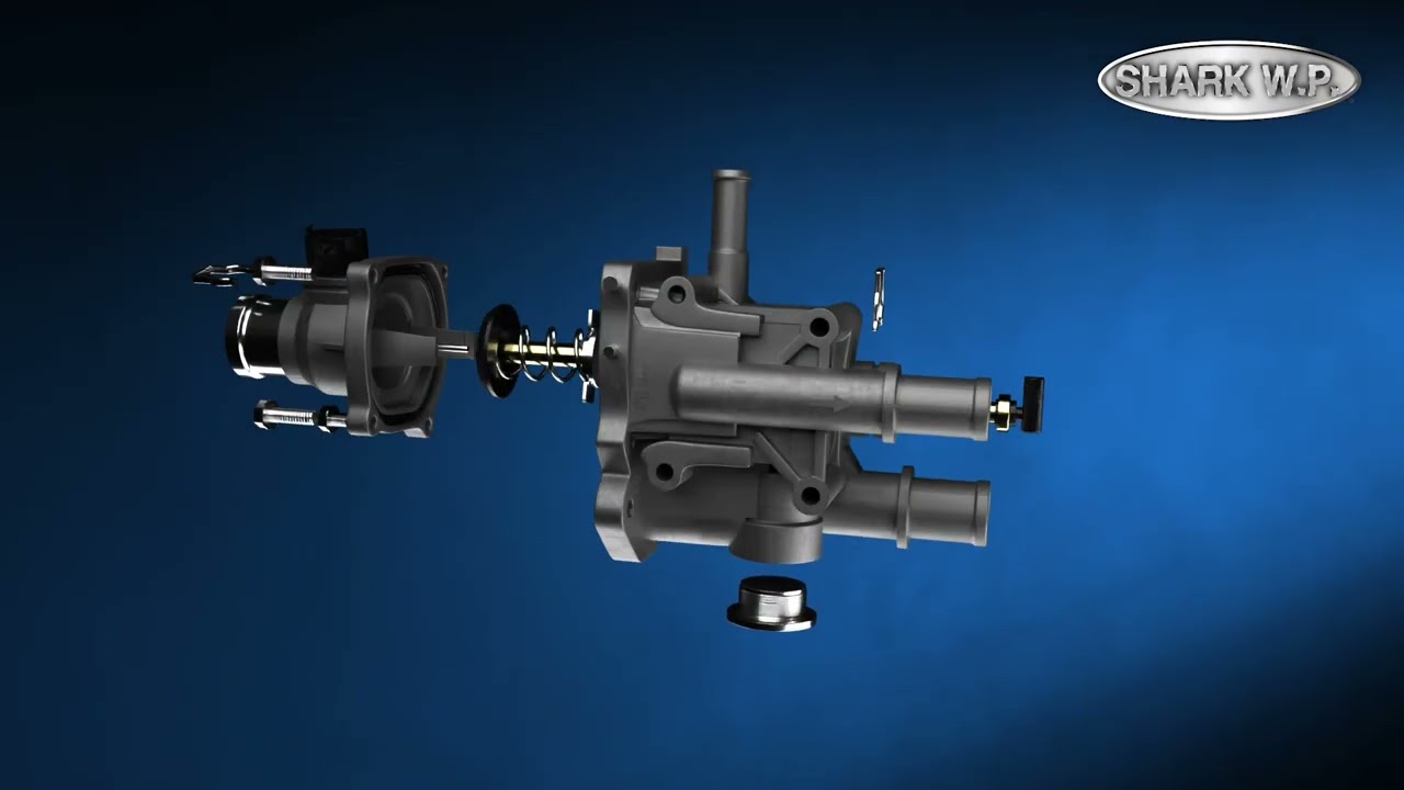 Tomas de Agua Shark WP