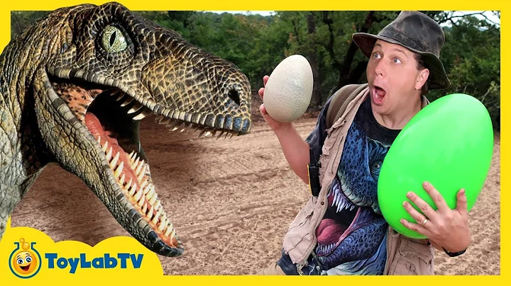 Park Ranger Takes Dinosaur Egg! Raptors Chase Aaro...