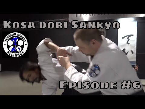 AIKIDO - The way that doesn't work! - Episode #6