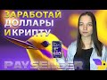 Как заработать  на творчестве | Paysenger - аналог патреона