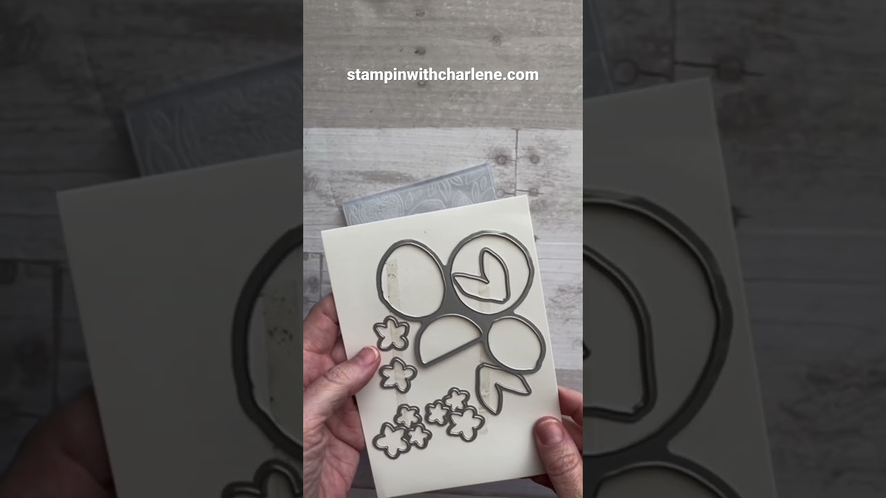 What is a hybrid embossing folder?  #diygreetingcards #cardkit #stampinwithcharlene #citrus