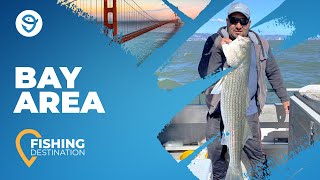 Your Complete Guide to Fishing the Bay Area