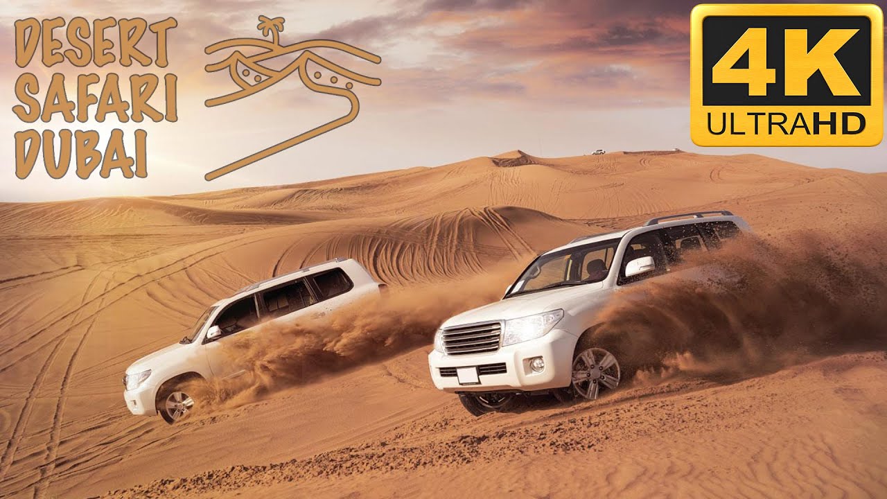 sand dune tour in dubai