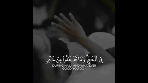 الْحَجُّ أَشْهُرٌ مَّعْلُومَاتٌ || القارئ ياسر الدوسري