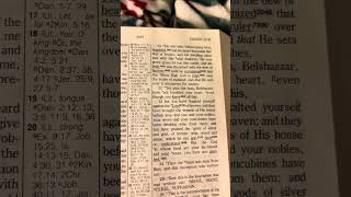 Day 257 Chronological Bible Reading Daniel 4-6