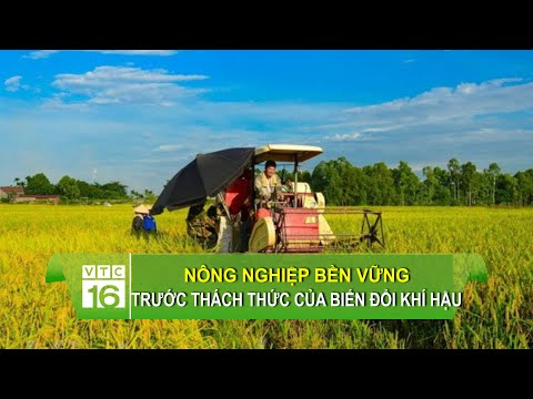 Tác Hại Của Biến Đổi Khí Hậu Ở Việt Nam - Nông nghiệp bền vững trước thách thức của biến đổi khí hậu | VTC16