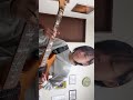 サイケロックなリフつくりたい NEHAN/ Tempalay #nehan #tempalay #ギター #momose #fender #guitar #高校生