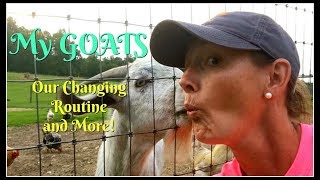Meet My GOATS! Our Changing Routine & More~A Collab!