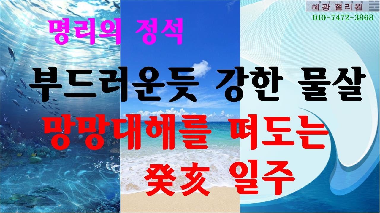 #일주론-망망대해를 이루는 계해 일주